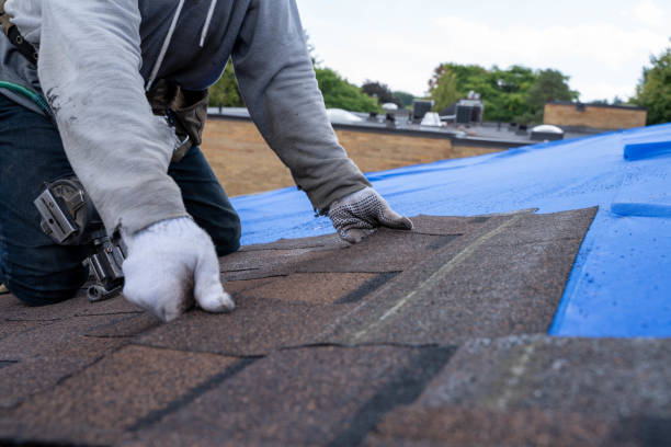 Best Local Roofing Companies  in Lake Shore, WA
