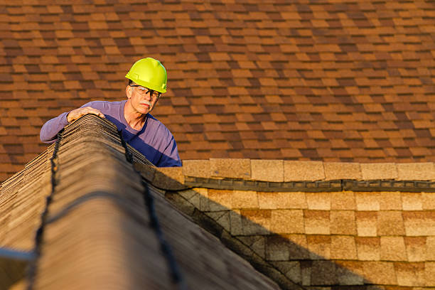 Best Gutter Installation and Roofing  in Lake Shore, WA